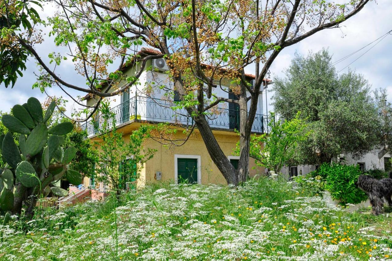Alex Montos Corfu Ferienhaus *